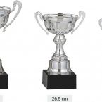 kupa madalya plaket 1 2 3 kupaası birincilik kupası şampiyonluk kupası ödül kupası turnuva kupası