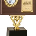 kupa madalya plaket 1 2 3 kupaası birincilik kupası şampiyonluk kupası ödül kupası turnuva kupası